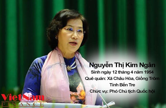 Nguyen thi kim ngan