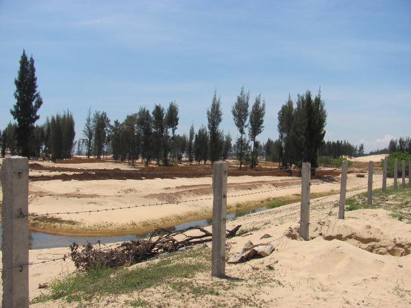 Chưa hoàn thành thủ tục, tỉnh Phú Yên đã cho phát trắng rừng phòng hộ làm dự án du lịch. Ảnh: PV