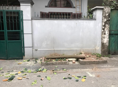 Cắt xong nhóm này để lại hiện trường ngổn ngang.