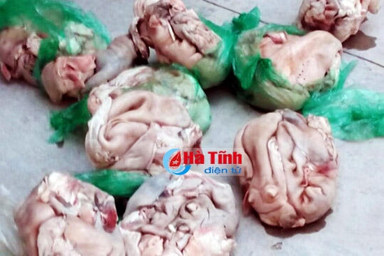 Số da dê bị bắt giữ. Ảnh: baonghean24h.com.vn