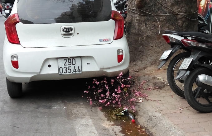 Tết tan,...