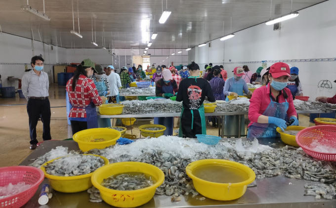 Phó Chủ tịch UBND huyện Đông Hải (Bạc Liêu) Nguyễn Trọng Hán kiểm tra công tác phòng, chống dịch Covid-19 tại Công ty chế biến thủy sản trên địa bàn huyện.