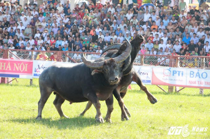 Cận cảnh những m&agrave;n