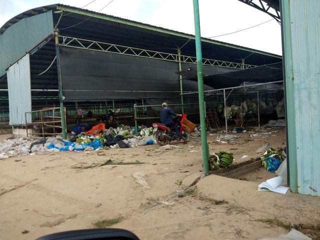 Và cũng nếu không lọt vào được bên trong đại công trường dự án chăn nuôi bò khủng này thì khó có thể biết được những khu chuồng trại chăn nuôi bò đang được Công ty Bình Hà tận dụng để làm nơi đóng hộp chuối thương phẩm.