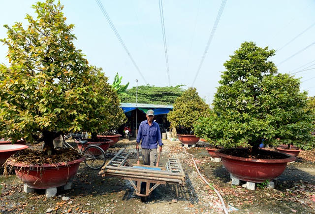 Vận chuyển giàn giáo như ở công trường xây dựng.