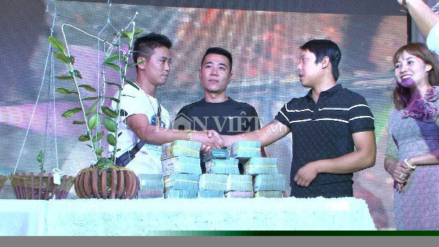 Chậu phong lan mẹ và 4 kie nhỏ được giao dịch với giá 5 tỷ đồng.