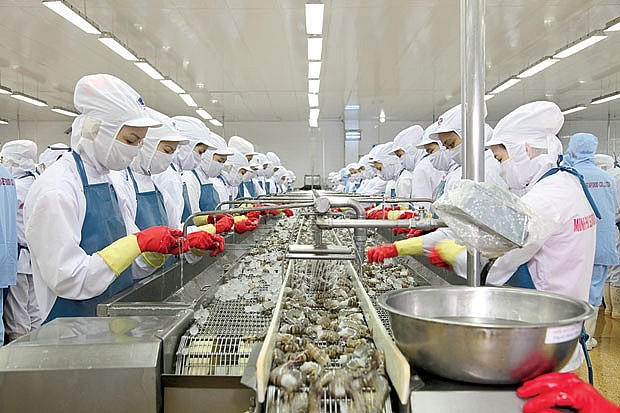 Xuất khẩu thủy sản tháng 4/2024 đạt 770 triệu USD. Ảnh: caodangyduocsaigon.com
