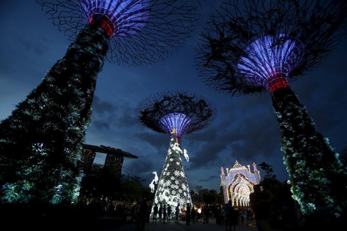 Cây thông Giáng sinh ở Singapore giống như những cây cọ lạ kỳ. (Ảnh: Reuters)