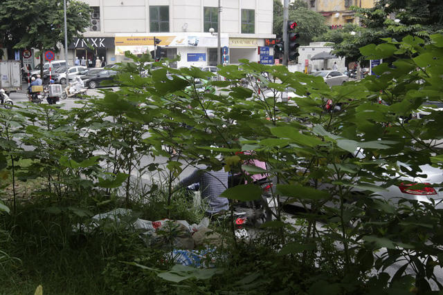 Nhiều nơi trở thành chỗ chứa rác và phế thải xây dựng.