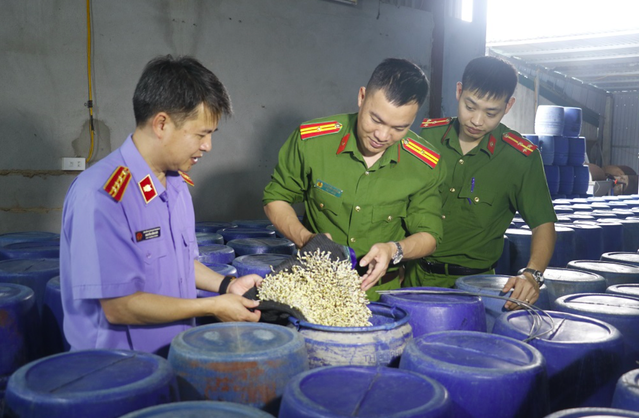 Lực lượng chức năng kiểm tra cơ sở sản xuất giá đỗ ngâm hóa chất ở thành phố Vinh, Nghệ An.