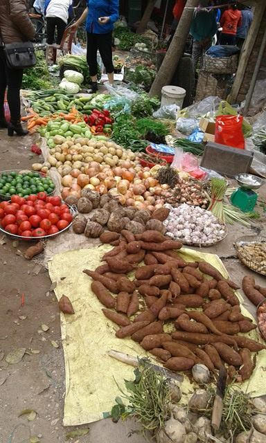 Cà chua trong và sau tết vẫn giữ nguyên giá.