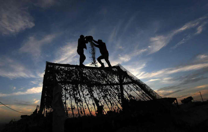 Những nhân công người Palestine đang cố gắng biến đống đổ nát của những ngôi nhà bị phá hủy trong chiến tranh tại Israel thành vật liệu xây dựng. (Ảnh: EPA)