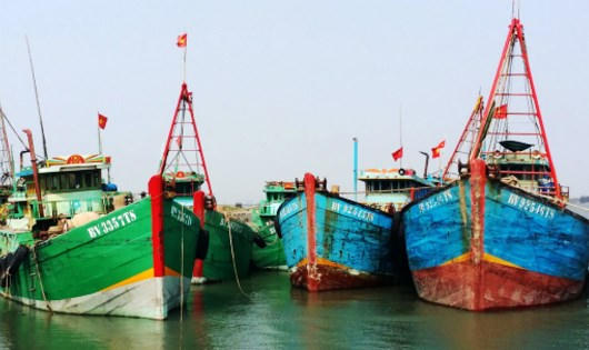 Thiếu lao động nghề biển, nhiều tàu cá vẫn phải neo tàu nằm bờ.