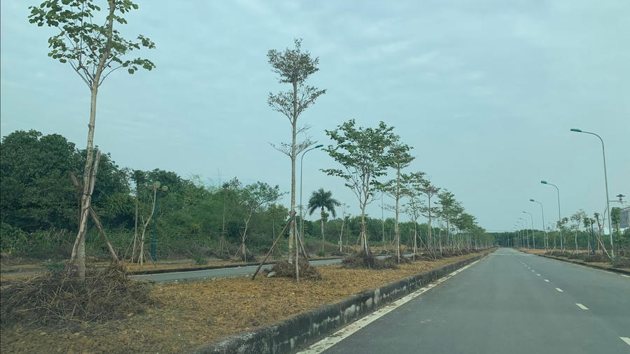 Một gói thầu của nhà thầu Thành Hưng tại BQL DA Đại học Quốc gia Hà Nội tại Hòa Lạc.