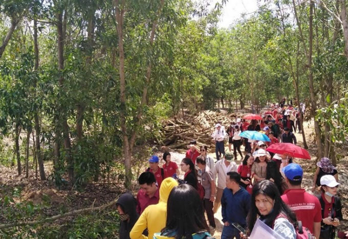 Alibaba dua khach di tham quan du an o Binh Thuan (1)