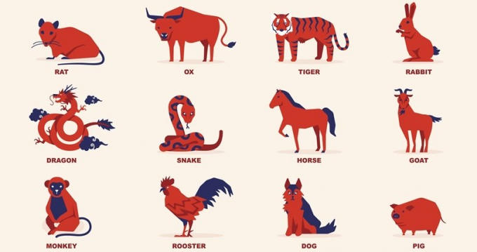 Tuổi n&agrave;o cần giữ sức trong năm con G&agrave;