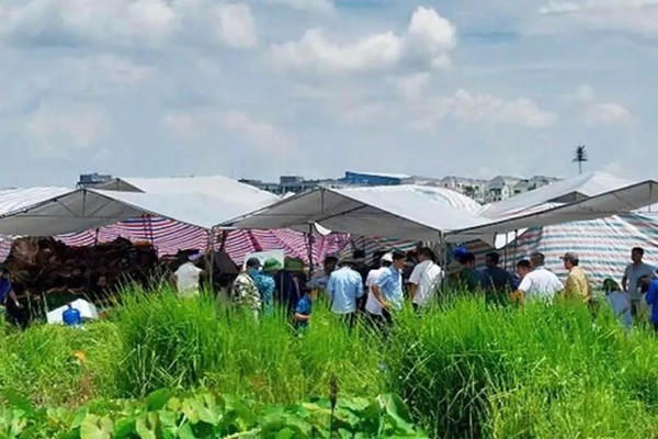 Hiện trường vụ việc.