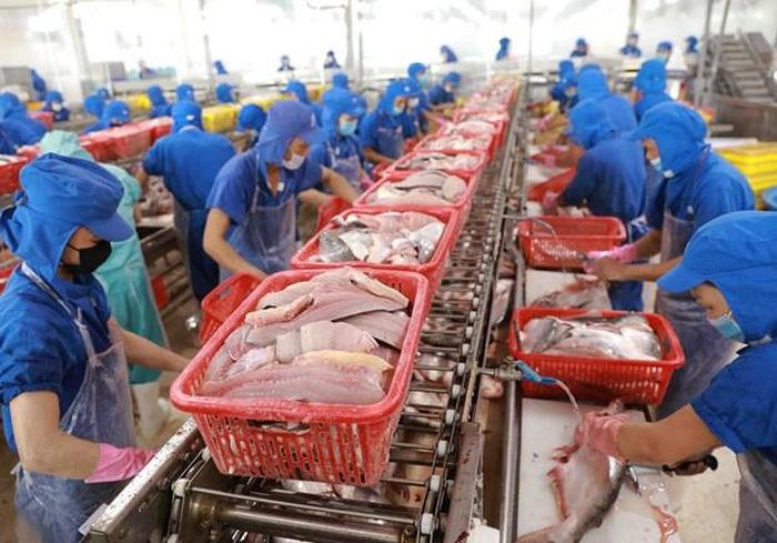 Kết thúc năm 2022, ngành thủy sản xuất sắc lập kỷ lục xuất khẩu 11 tỷ USD. (Ảnh: TTXVN)