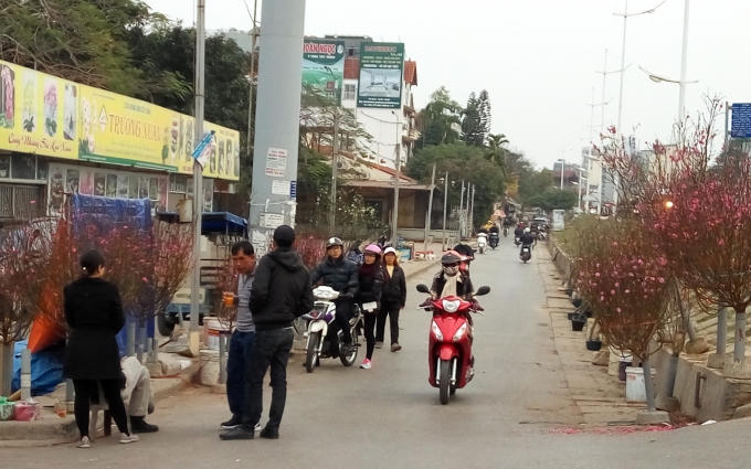 Hết Tết đ&agrave;o c&agrave;nh vẫn h&uacute;t kh&aacute;ch