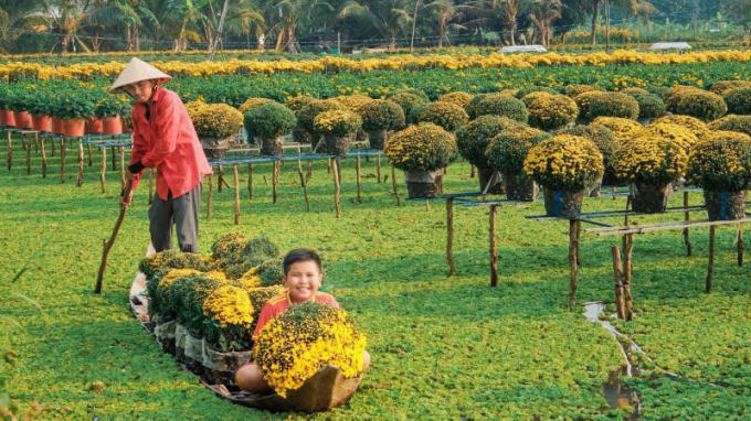 rải nghiệm thú vị khi đến làng hoa Sa Đéc.