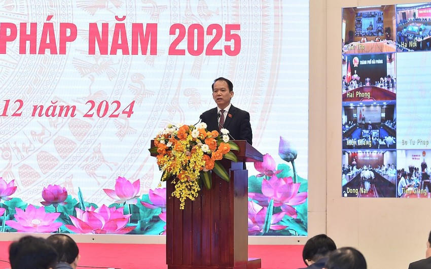 Đại biểu trình bày tham luận, báo cáo tại hội nghị - Ảnh: VGP