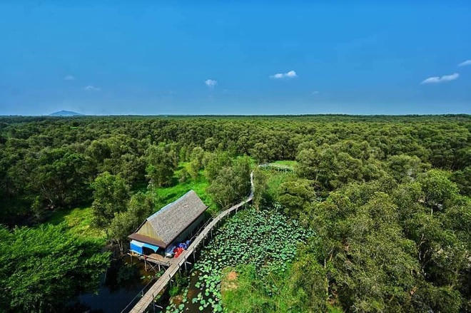 Chiếc cầu tre kỷ lục dài nhất Việt Nam tại rừng tràm Trà Sư (Ảnh: mrphucng1603).