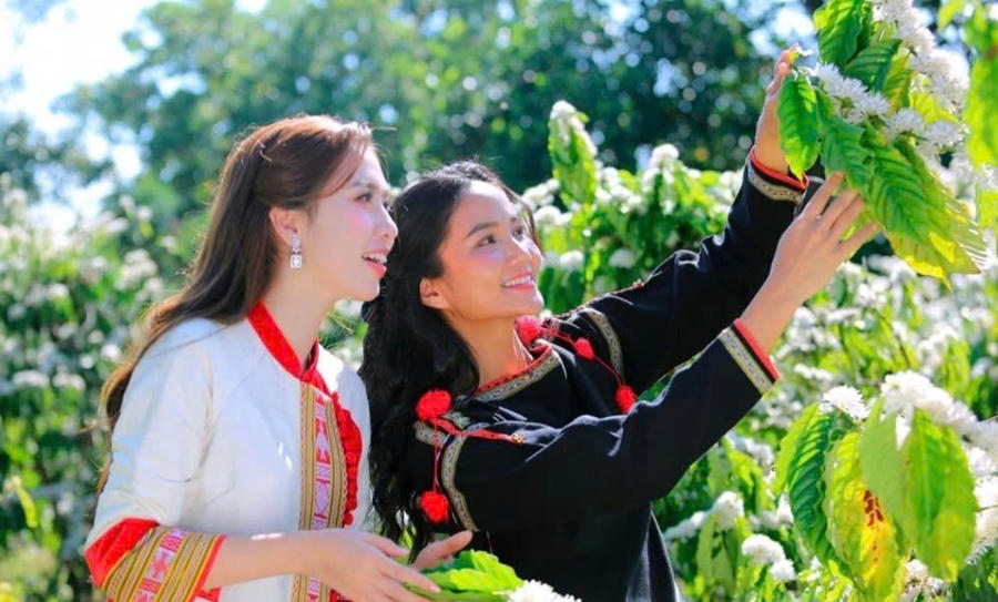 Đại sứ truyền thông Lễ hội Cà phê Buôn Ma Thuột lần thứ 9 năm 2025 H’Hen Niê và Đinh Thị Hoa trải nghiệm vẻ đẹp của những bông hoa cà phê. Ảnh: N.T