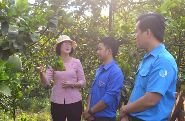 Thiết thực các hoạt động khích lệ người trẻ Bình Phước trong tháng Thanh niên