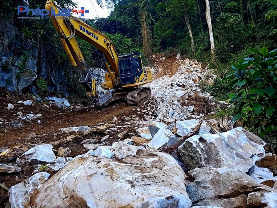 z4969264344667_f01bf2e2fd1f762b9d020b9cd53c2e69