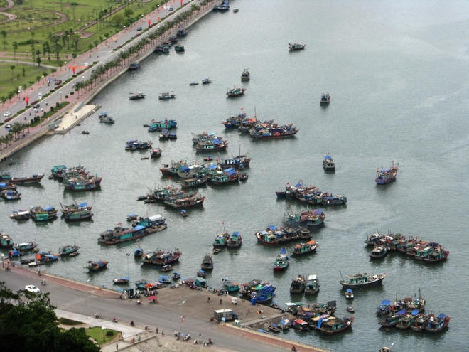 Khu vực bến cá Hạ Long nằm ở đường bao biển thuộc phường Bạch Đằng, TP Hạ Long. Do lượng tàu bè neo đậu nhiều và tình trạng xả rác bừa bãi nên nơi đây ô nhiễm nghiêm trọng.