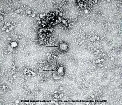 Anh137.