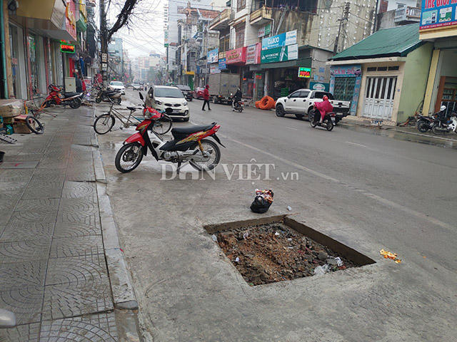 Nhiều hố trồng cây dưới lòng đường đã chờ sẵn để trồng cây vào.