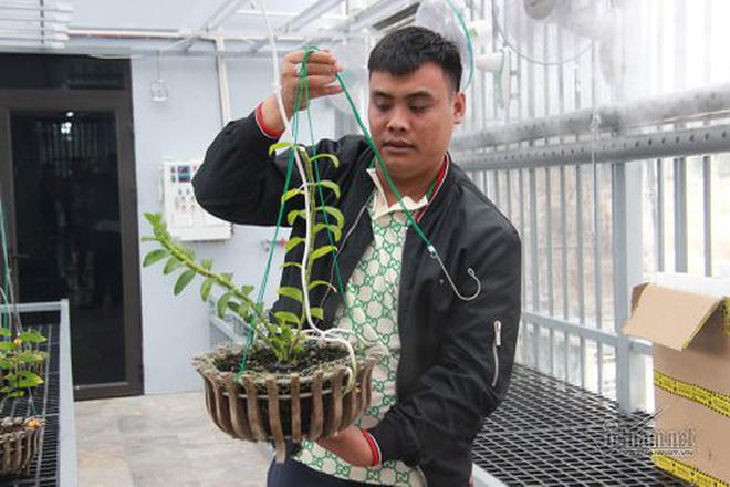 Giang cùng cây lan Ngọc Sơn cước được bán với giá 250 tỷ đồng (Ảnh: Vietnamnet).