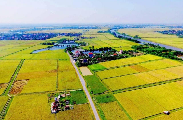Long An được chuyển mục đích sử dụng 65 ha đất tại huyện Đức Hòa