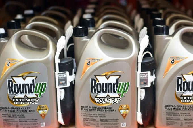 Hoạt chất thuốc diệt cỏ glyphosate đang bị tạm ngừng đăng ký mới tại Việt Nam bởi những nghi vấn về tác hại tới sức khỏe con người. Ảnh: P.V
