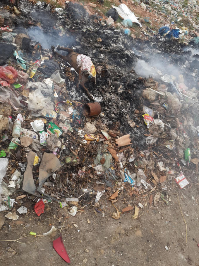 Xác động vật cũng được tập kết tại đây.