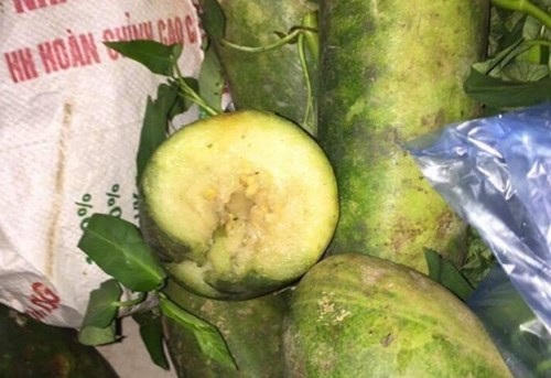 Rau củ thối bị phát hiện tại trường tiểu học Lý Nhân (Người dân cung cấp)              Họp phụ huynh ngày 13/9 (ảnh Đào Tấn).