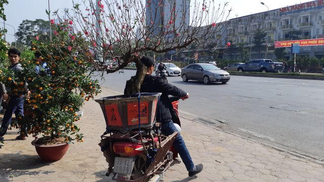 Xe chuyên chở đào, quất, cây cảnh đều được gia cường bằng khung sắt, giảm sóc chịu lực và đặc biệt là có một bao cát để ở đầu xe để cân bằng trọng lượng. Nếu cùng cung đường, tài xế sẽ chở từ 2 - 3 chậu cảnh. Di chuyển gần những chiếc xe máy