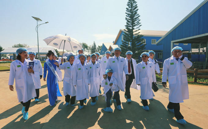 Cận cảnh trang trại b&ograve; sữa Organic tr&ecirc;n cao nguy&ecirc;n L&acirc;m Đồng