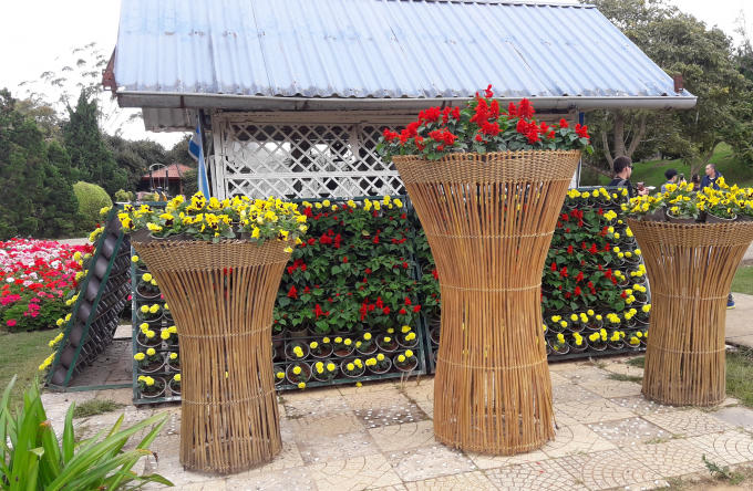 Ngôi nhà nhỏ xung quanh toàn hoa