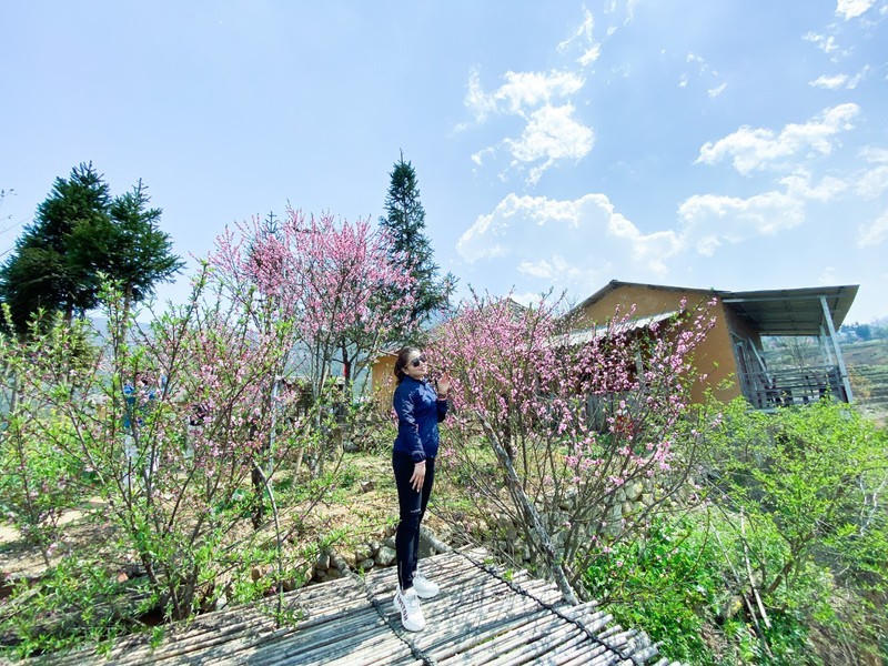 Du khách bị cuốn hút bởi vẻ đẹp hoang sơ đầy huyền bí núi rừng Y Tý. 