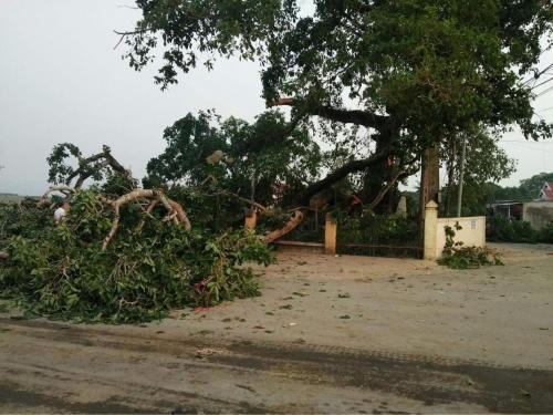 Hiện trường sự việc khiến 4 học sinh bị thương