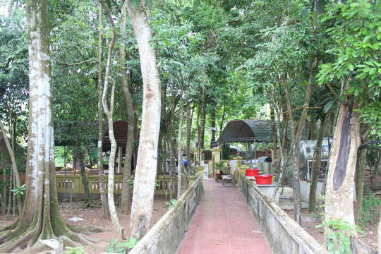Lối vào đền thờ "ngài đá" cây cối um tùm, tốt tươi.