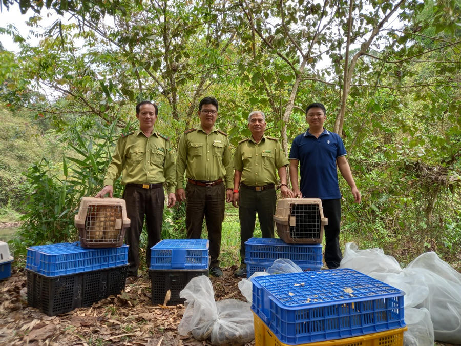 Cơ quan chức năng thả nhiều loại động vật vào rừng