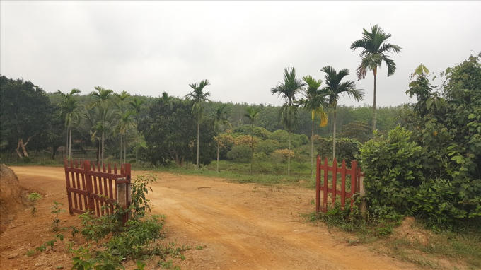 Đường vào trang trại của ông Thái. Ảnh: Hưng Thơ.