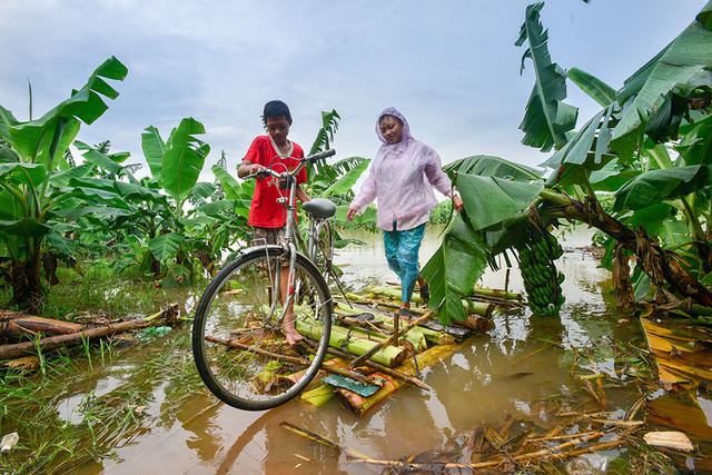 Nước lên cao khiến đường đi lại ngập sâu, cô lập các hộ dân sinh sống và làm nghề trồng trọt ở khu vực bãi giữa. Để đi lại, gia đình em Nguyễn Văn Lương, 15 tuổi, phải đóng bè chuối để có thể vào đất liền hàng ngày. Trong ảnh, Lương đang đưa chị vượt vùng ngập bằng bè chuối vào bờ đi chợ chiều.