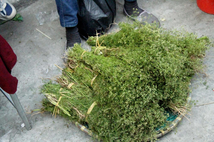 H&agrave; Nội: Phi&ecirc;n chợ đặc biệt ng&agrave;y 27 Tết