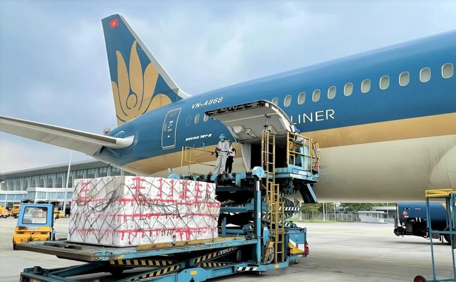 Vietnam Airlines và Vietjet tiếp tục vận chuyển miễn phí hàng hóa hỗ trợ đồng bào vùng lũ miền Trung. (Ảnh minh họa)