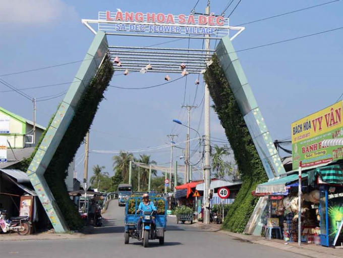 Làng hoa Sa Đéc (Đồng Tháp) nằm cách TP.HCM khoảng 150 km, nơi đây được xem là thủ phủ hoa ở miền Tây. Làng hoa trăm tuổi này là nơi cung cấp hoa, kiểng cho các tỉnh ở miền Tây và TP.HCM.
