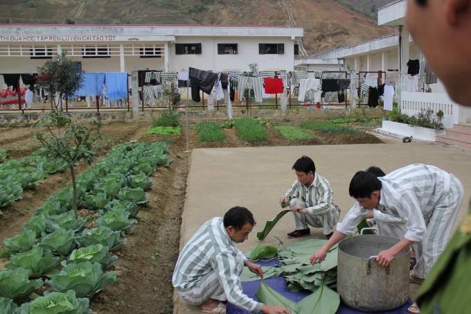 Phạm nhân lau lá dong để gói bánh chưng.